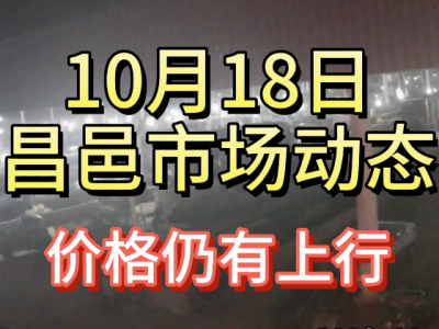 10月18日 昌邑生姜交易實況（價格上行） (4713播放)