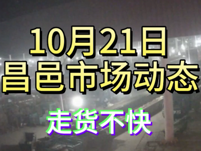 10月21日 昌邑生姜交易實況（走貨不快） (4700播放)