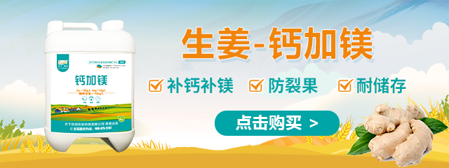 鈣加鎂