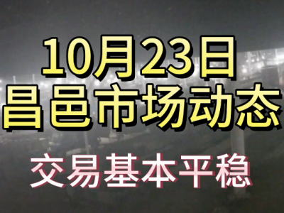 10月23日 昌邑生姜交易實況（交易平穩） (4725播放)