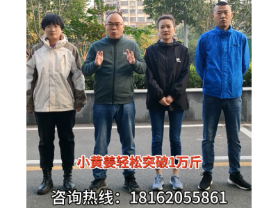 中姜網(wǎng)南方小姜基地測產(chǎn)小組出發(fā)啦！ (4506播放)