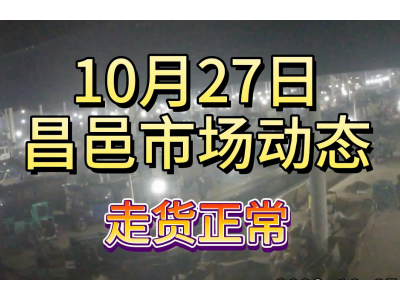10月27日 昌邑生姜交易實況（走貨正常） (113播放)