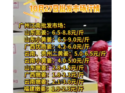 10月27日廣州江南批發(fā)市場生姜價格行情 (4473播放)