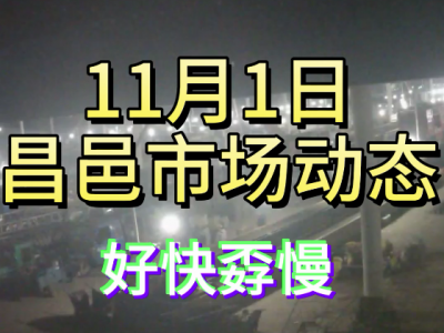 11月1日 昌邑生姜交易實況（好快孬慢） (126播放)