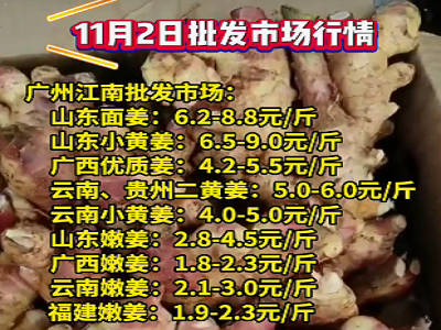11月2日廣州江南批發(fā)市場生姜價格行情 (4478播放)