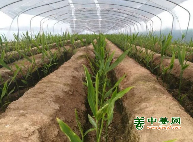 未標(biāo)題-1