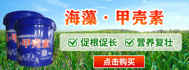 海藻·甲殼素