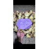 鮮姜大量上市，老姜大量出售
