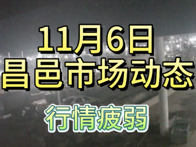 11月6日 昌邑生姜交易實況（行情疲弱） (146播放)