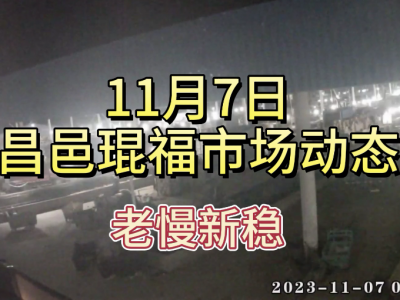 11月7日 昌邑生姜交易實況（老慢新穩） (162播放)