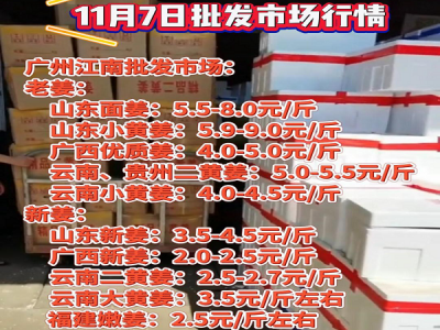 11月7日廣州江南批發(fā)市場生姜價格行情 (4468播放)