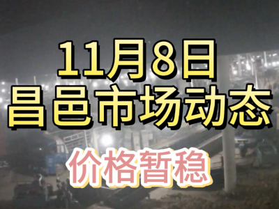 11月8日 昌邑生姜交易實況（價格暫穩） (161播放)