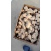 生姜出口加工13176070878