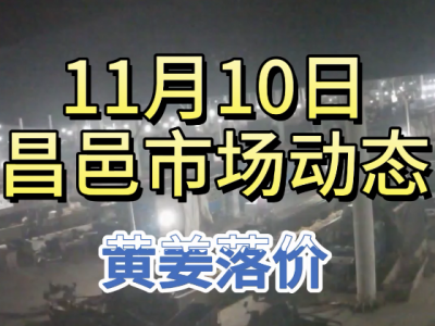 11月10日 昌邑生姜交易實況（黃姜落價） (191播放)