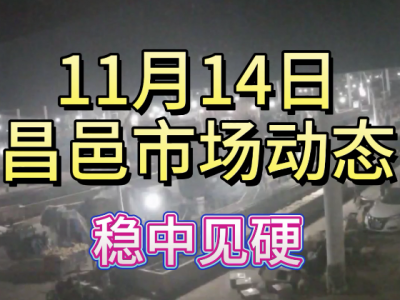 11月14日 昌邑生姜交易實況（穩中見硬） (214播放)