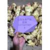 生姜購銷加工