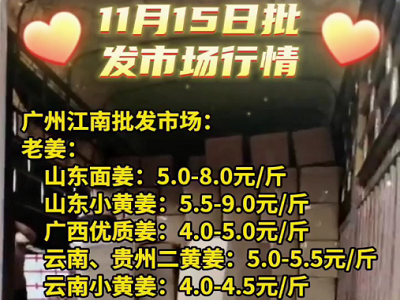 11月15日廣州江南批發市場生姜價格行情 (4544播放)