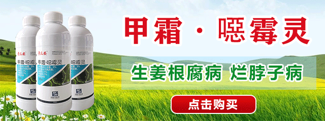甲霜惡霉靈