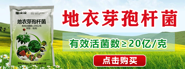 地衣芽孢桿菌
