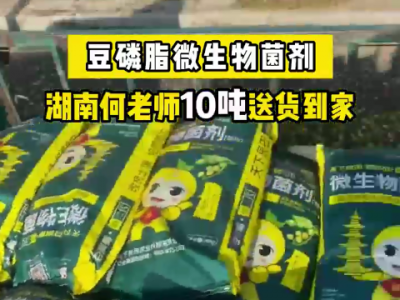 湖南何老師冬耕底肥10噸豆磷脂微生物菌劑送貨到家 (4572播放)