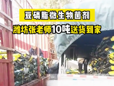 濰坊張老師冬耕底肥10噸豆磷脂微生物菌劑送貨到家 (4596播放)