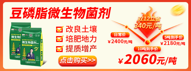 640-240豆