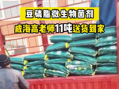 威海高老師冬耕底肥11噸豆磷脂微生物菌劑送貨到家 (4609播放)