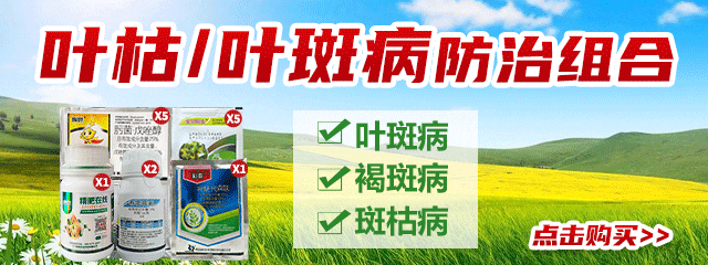 葉枯葉斑病防治組合