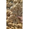大量現貨供應商