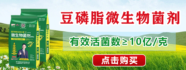 豆磷脂