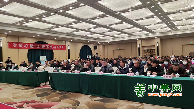 會議現(xiàn)場05