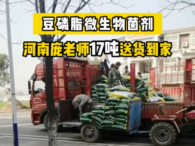河南龐老師冬耕底肥17噸豆磷脂微生物菌劑送貨到家 (4633播放)