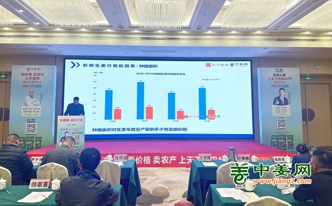 “2023-2024全國生姜產(chǎn)銷形式及行情展望”講座01