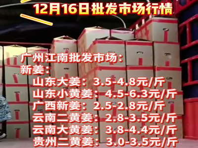 12月16日廣州江南批發市場生姜價格行情 (4651播放)