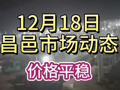 12月18日 昌邑生姜交易實況（價格平穩(wěn)） (318播放)