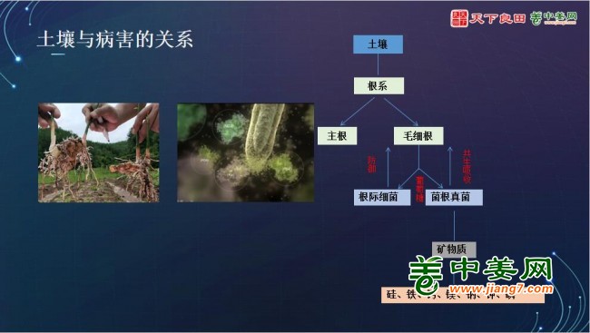 QQ截圖20231219151511