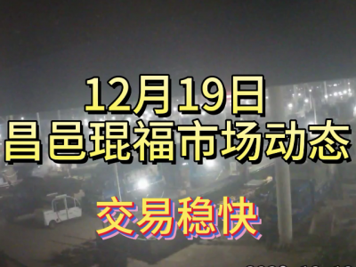 12月19日 昌邑生姜交易實況（交易穩(wěn)快） (340播放)
