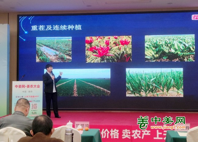 ”土壤現(xiàn)狀分析及重茬改良措施“講座01