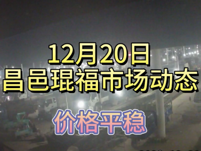 12月20日 昌邑生姜交易實況（價格平穩(wěn)） (358播放)