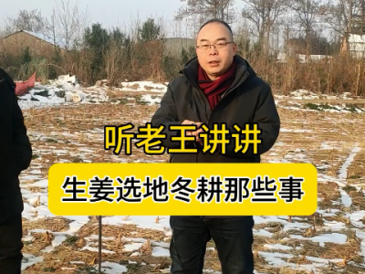 聽老王講講生姜選地冬耕那些事 (4670播放)