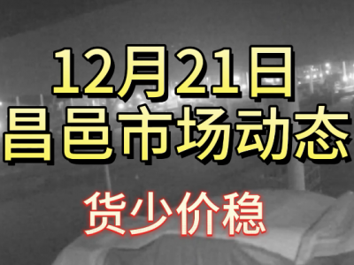 12月21日 昌邑生姜交易實況（貨少價穩(wěn)） (331播放)