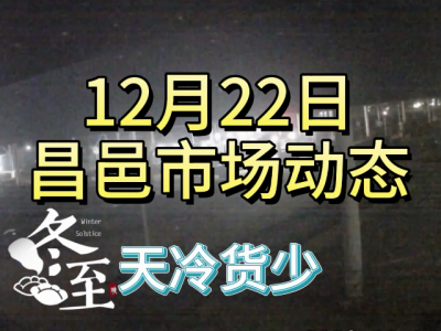 12月22日 昌邑生姜交易實況（天冷貨少） (341播放)