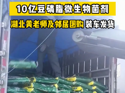 湖北黃老師和鄰居團購豆磷脂菌劑發貨中 (4721播放)