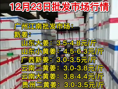 12月23日廣州江南批發市場生姜價格行情 (4673播放)