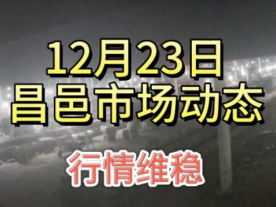 12月23日 昌邑生姜交易實況（行情維穩(wěn)） (354播放)