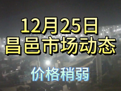 12月25日 昌邑生姜交易實況（價格稍弱） (374播放)
