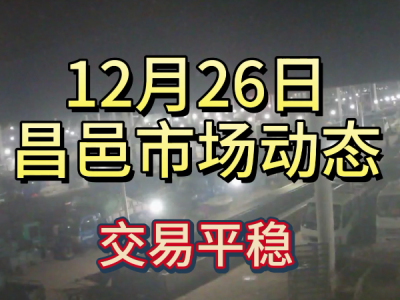 12月26日 昌邑生姜交易實況（交易平穩） (392播放)