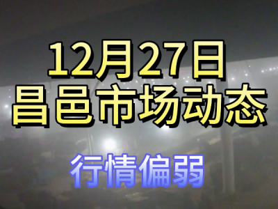 12月27日 昌邑生姜交易實況（行情偏弱） (409播放)