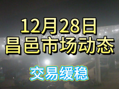 12月28日 昌邑生姜交易實況（交易緩穩） (414播放)