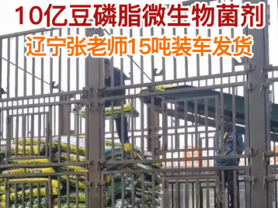 遼寧張老師15噸豆磷脂菌劑發貨中 (4769播放)